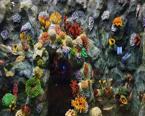 Colourful reef tunnel in the fictional Coral Boost Expedition mobile game